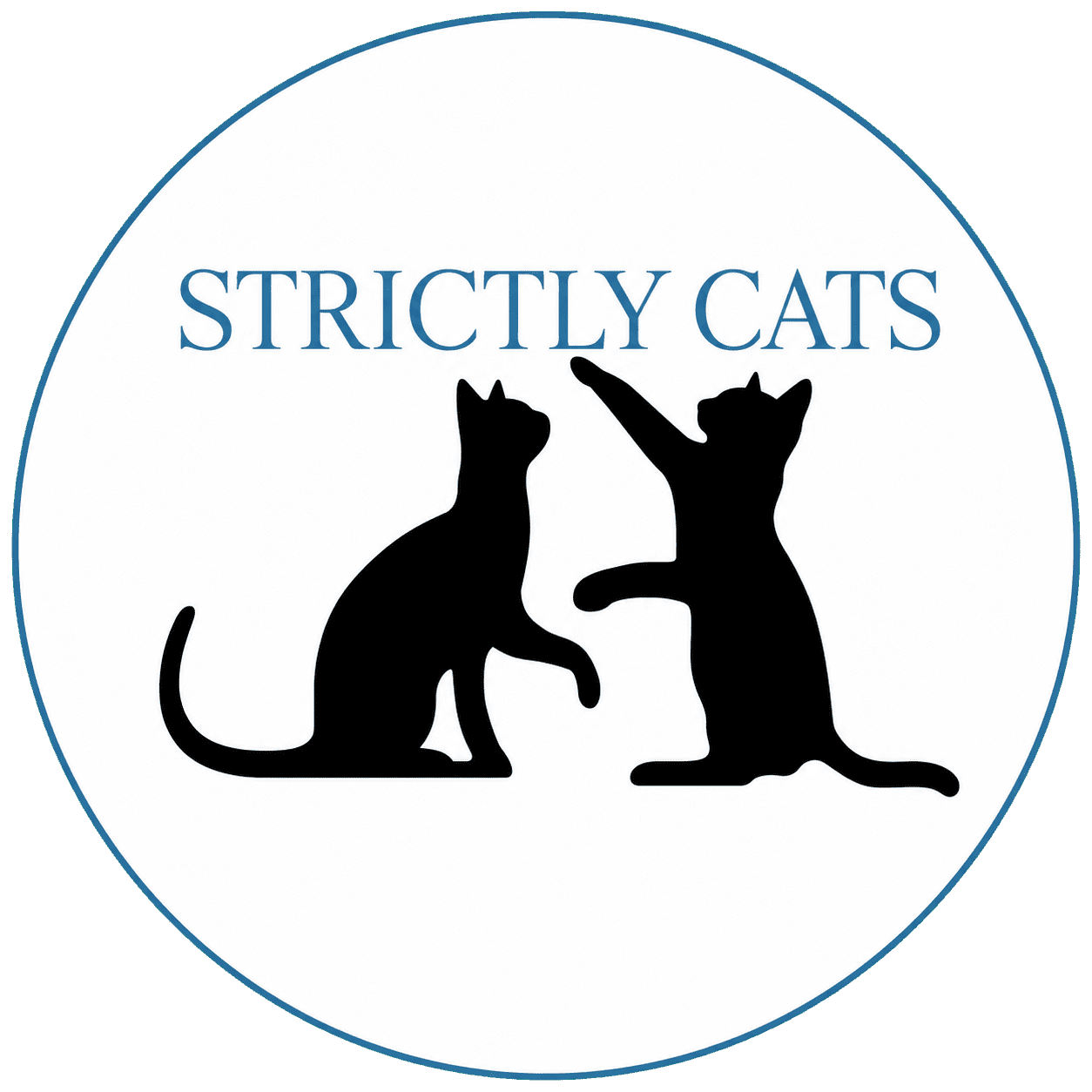 Strictly Cats